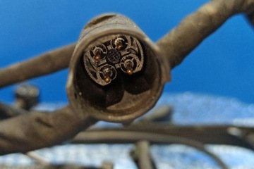 фото thumb №12, Жгут двигателя mercedes-benz c w203 a2035409005 2.0l бензин 95kw 2001