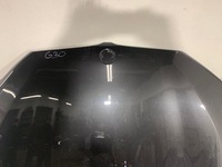 фото thumb №6, Bmw 5 g30 g31 капот перед кришка