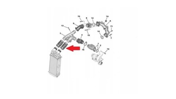 фото thumb №3, Шланг citroen berlingo 1.2 puretech 1.6 bluehd