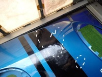 фото thumb №10, Mini cooper f55 f56 s рестайлінг 20- капот