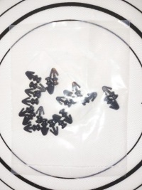 фото thumb №1, Клипсы уплотнители накладки порог порога ford mondeo escort mk2 mk3 mk4 s-max