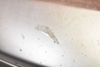 фото thumb №10, Бампер перед переднє срібний volvo v50 03-11