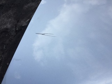 фото thumb №9, Audi q7 4l крыло правый переднее правый перед lx7w