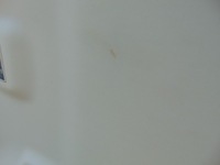 фото thumb №8, Стеля захисні накладки комплект jaguar xf x250 sedan