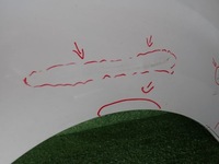 фото thumb №9, Proace jumpy expert iii 16- крила правий передній перед