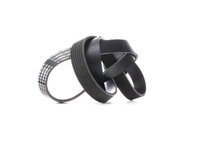 фото thumb №9, Ridex 305p0344 ремень клиновой многоручьевой do nissan pathfinder iii r51