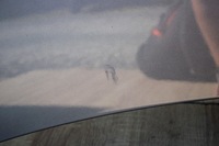 фото thumb №6, Капот крышка двигателя renault laguna iii coupe tekng