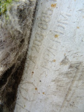 фото thumb №9, Бампер зад mercedes w203 универсал - оригинал