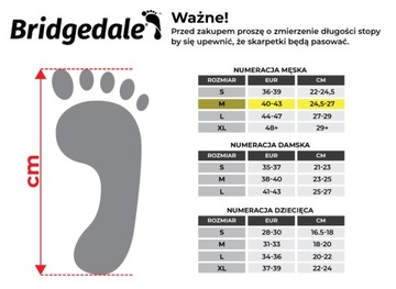Термоноски Bridgedale Layer (2 пары) 40-43