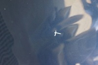 фото thumb №6, Капот кришка двигуна volvo v60 i s60 ii передній рестайлінг 498-46