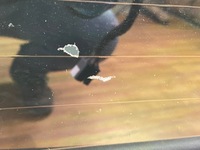 фото thumb №12, Кришка багажника багажника задня ford explorer mk6 20+