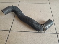 фото thumb №1, Infiniti jx35 qx60 3.5 2013r wąż шланг труба радиатора wody нижний
