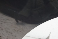 фото thumb №14, Двері лівий задня bmw x5 e70