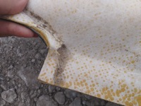 фото thumb №6, Bmw e84 стеля панорама