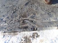 фото thumb №8, Skoda octavia iii fl універсал двері праві зад eu lf9r лак 57um