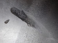 фото thumb №12, Hyundai getz lift 05-11 бампер задняя задний 86611-1c310