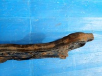 Купити Mitsubishi outlander 2 06- 2.2 did підрамник балка підвіска передній, фото thumb