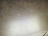 фото thumb №13, Skoda octavia iv kombi бампер задняя