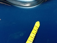 фото thumb №11, Hyundai i30 ii gd hb 5d дверь зад правые aqua синий [t2u]