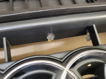 фото thumb №16, Решётка радиатора решётка радиатор решётка audi a5 8t quattro оригинальный номер