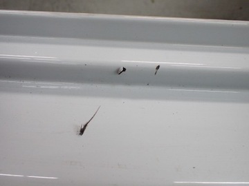 фото thumb №9, Бампер зад kia sportage iv 2018r 1.6 wd cassa белый 86611f1000 10912