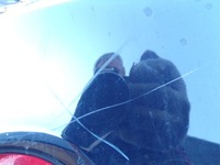 фото thumb №10, Бампер задній задня ford fiesta 6 vi колір jb3 1