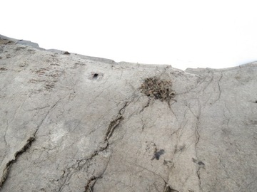 фото thumb №12, Шумоізоляція підкладка килимок капота рестайлінг volvo xc90 i