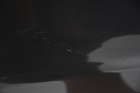 фото thumb №8, Крыло передний перед левый vw tiguan i 5n lc9x