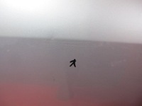 фото thumb №8, Renault laguna iii hb рестайлінг двері ліві зад ted69