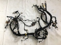 фото thumb №1, Електропроводка джгут панелі панель приладів renault kadjar