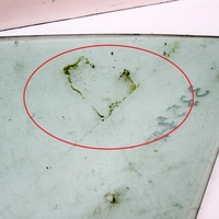 фото thumb №5, Audi a4 s4 b6 8e 8h 2002 ліва сторона скло кузовна задня