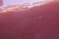 фото thumb №10, Nissan qashqai j10 дверь правый перед передние