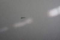 фото thumb №8, Дверь правый задняя задние jeep compass i lift серебристый