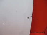 фото thumb №10, Lancia delta 3 iii 08- дверь правое перед vr 296/a