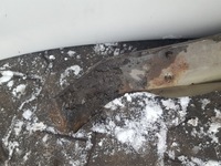 фото thumb №5, Hyundai santa fe ii 06-12r крило праві перед j2