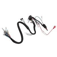 фото thumb №14, Джгут трубопровід електричних запуску abs tpu