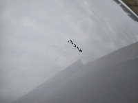 Купить Капот оригинал лак opel astra h 3 z2au z157, фото thumb