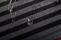 фото thumb №12, Nissan pathfinder iii r51 2.5 dci радиатор интеркулер 14461-eb360