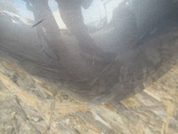 фото thumb №10, Бампер задняя новый renault kangoo ii 08-