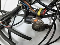 фото thumb №12, Електропроводка газова lpg zavoli alisei direct 4-cyl блок керування 67r-016032 kpl