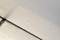 фото thumb №9, Дверь левая перед передние серебристый mini countryman r60 10-17