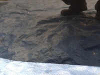 фото thumb №6, Двері праве mercedes slk r171 w171 c197 197