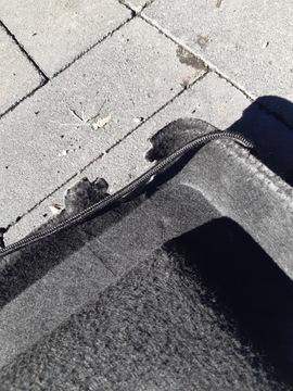 фото thumb №3, Renault modus 05 полиця задня