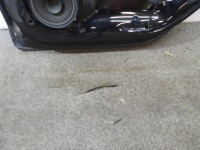 фото thumb №11, Дверь правое задняя sedan usa vw volkswagen passat viii 2014- b8