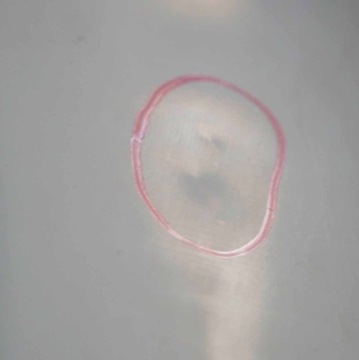 фото thumb №11, Citroën jumper fiat ducato дверь правые передние