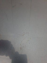 фото thumb №3, Крышка багажника задняя peugeot 407 ezwd