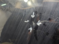 Капот крышка двигателя nissan 370 с 2009- Недорого, фото thumb