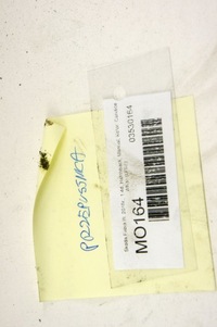 фото thumb №5, Mo164 skoda fabia iii 1.4d дросельна заслінка