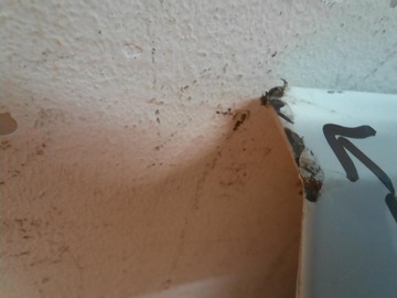 фото thumb №5, Volkswagen touareg 3 iii 18- планка дверь перед передняя правая 760854940