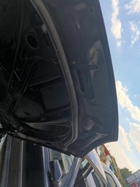 фото thumb №3, Капот volkswagen golf v 2004 год